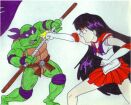 Sailor Mars VS Donatello (sparring)